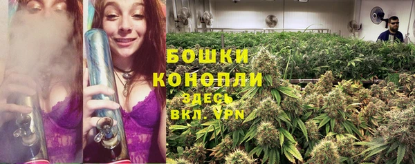 прущие крисы Белая Холуница
