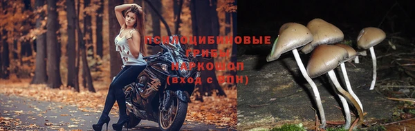 синтетический гашиш Новодвинск