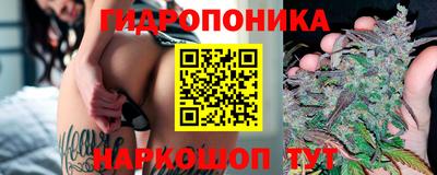 МДПВ Заволжье