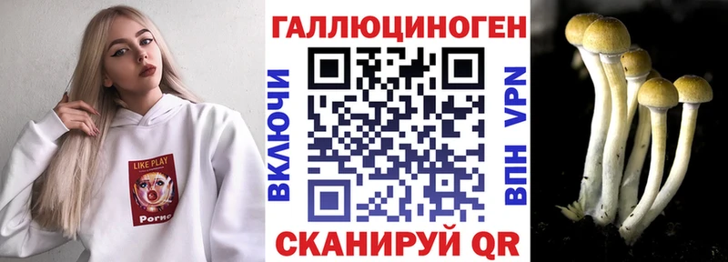 где найти   Ставрополь  Псилоцибиновые грибы MAGIC MUSHROOMS 