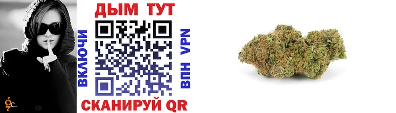 Канабис VHQ закладки Ставрополь